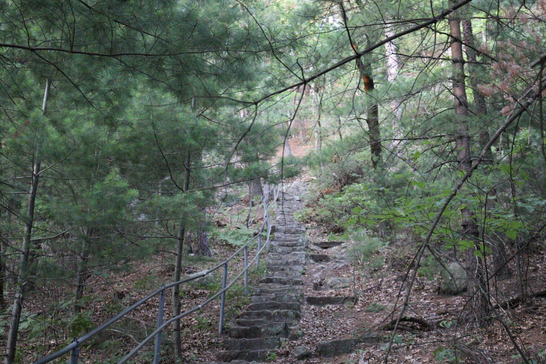 Mill Bluff State Park